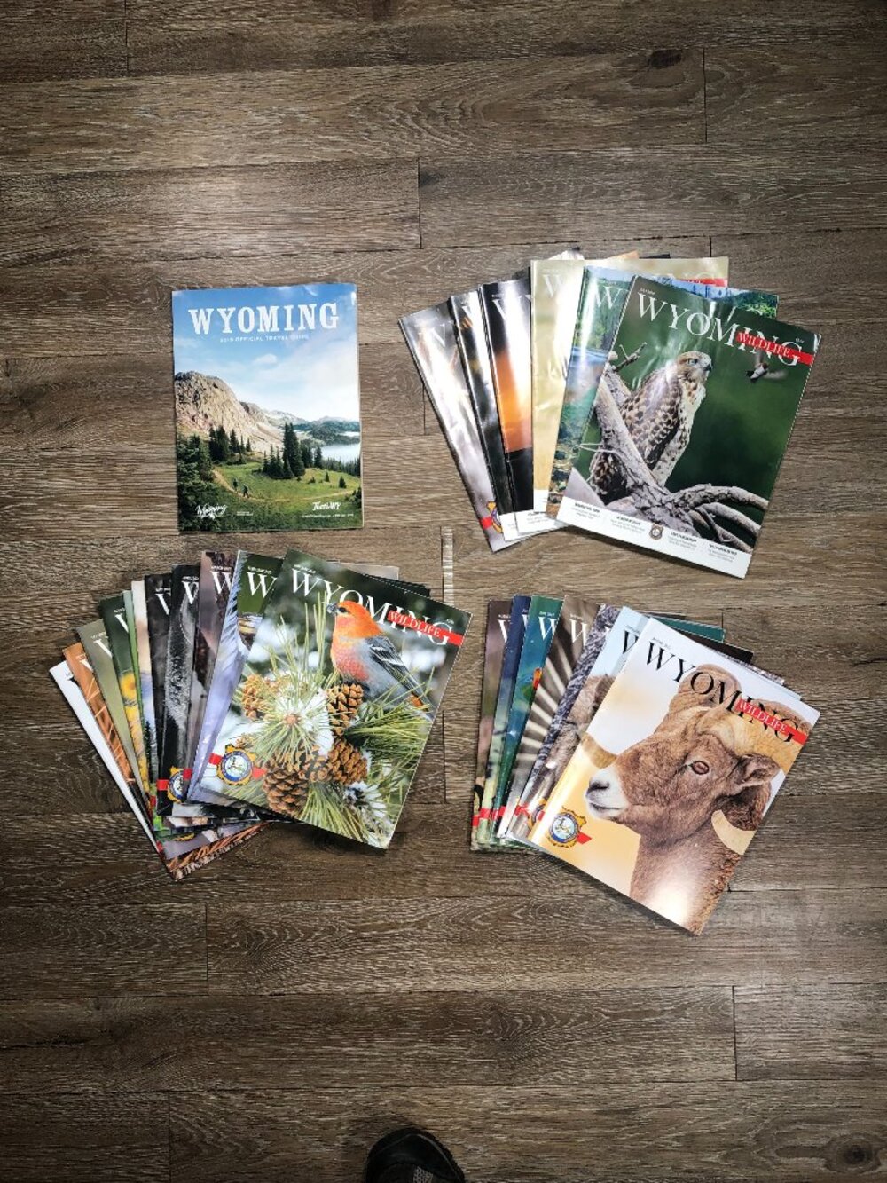 Lot of 25 Wyoming Wildlife Magazine and Travel Guide Game Fish Department Nature